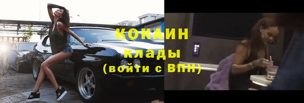 бошки Бронницы